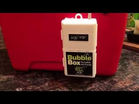 DIY Aerated minnow bucket