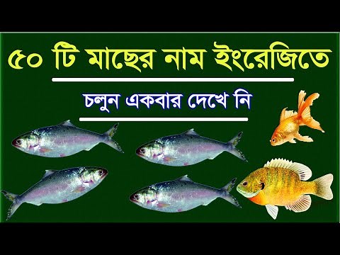 মাছের নাম - ইংরেজি থেকে বাংলা (মাছের নাম) - ৫০টি মাছের নাম - সেরা মাছের নাম - নাম