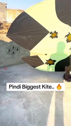 Pindi Biggest Kite: Vibrant Basant Song and Kite Flying Delight