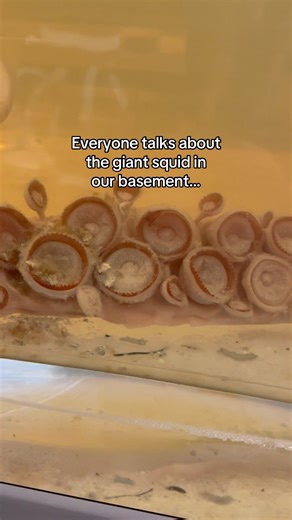 Are you coming to visit our spirit collection? 😱😍 #NaturalHistoryMuseum #LondonMuseums #Nature | Natural History Museum, London