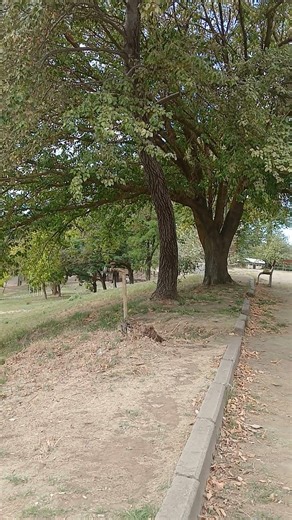 Lo que fue Recinto FACELA. Laja.