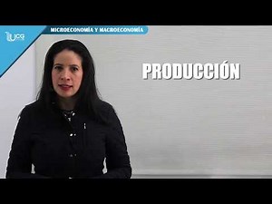 Teoría de la producción