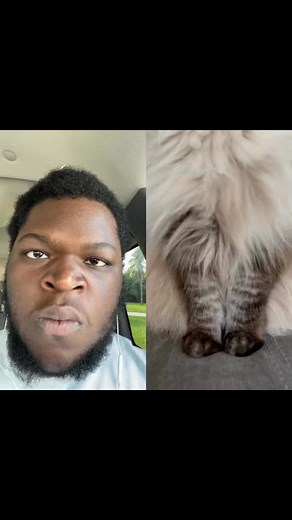 Ok… maybe a little 😒 | Angryreactions