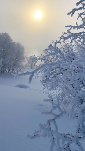 109K views · 6.8K reactions | Winter wonderland ❄️ | Spectacular Norway | Facebook