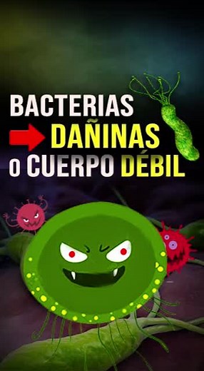 Understanding Bacteria's Role in the Human Body