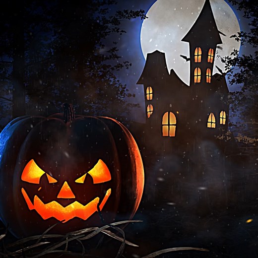 👻🚨ATTENTION GHOULS AND GOBLINS! HALLOWEEN REMINDER!🍕👻 You've been busy with costumes and candy, but no thought of feeding your zombie hoard- that’s a REAL fright! FEAR NOT- Ryan's Pizza is fired up and ready for your order. Let us do the cooking so you can enjoy the rest of your wicked evening. Order ahead to fuel that monster side of you! Happy Haunting from the Ryan's Pizza! 🎃🍕 #RyansPizza #Halloween2025 #TrickOrTreat #PizzaTime #SupportLocal | Ryan's Famous Pizza & Food Truck