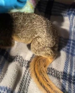 55K views · 619 reactions | We can’t emphasize this enough! Please...