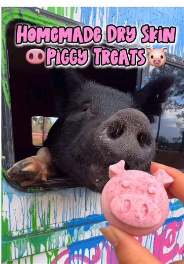 Homemade Pig Treats for Dry Skin Care