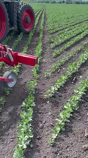 Agricultural Machine Efficiently Planting Seeds in Fields