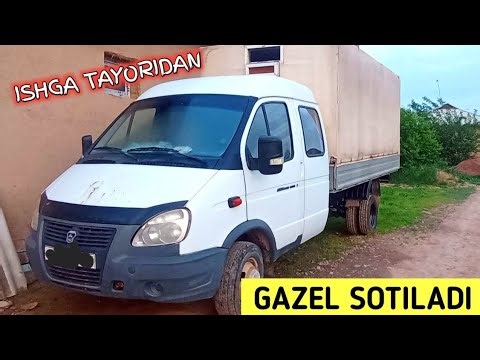 GAZEL SOTILADI SROCHNI BOZORDAN ARZON EGALARIDAN