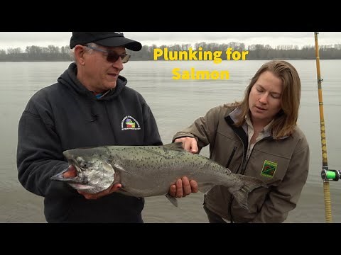 Plunking for Salmon on the Columbia: Workshop Basics