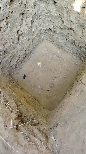 Primitive survival 🤣🤣🤣 | Julius H Pamai