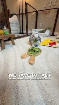 Is The New Parasite Dangerous For Your Rabbit?!