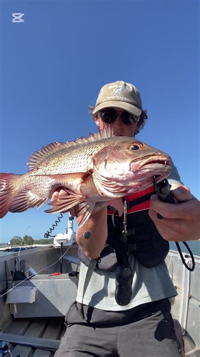 Epic Fishing Adventure: Catching Mangrove Jack and Bream