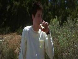 Donnie darko and smurfs