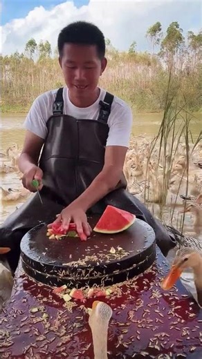 Professional duck farming!