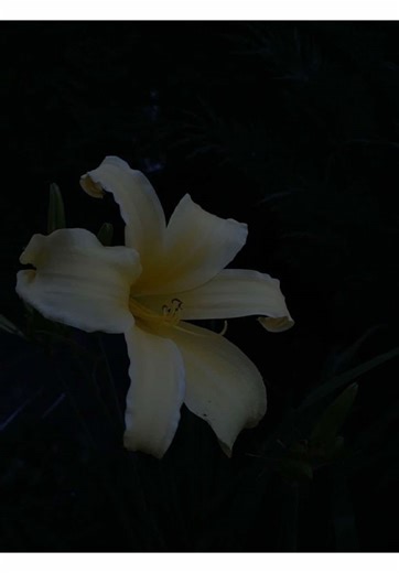 Best Friend Song Inspiration for You