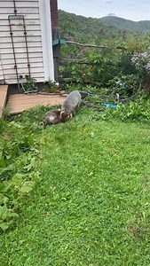 3.8M views · 10K reactions | Something unexpected has happened. The...