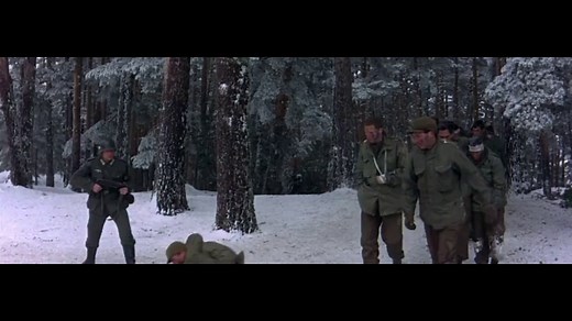 A halal 50 órája 1965