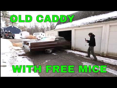 Estate Sale Soft-Top Cadillac Rescue,