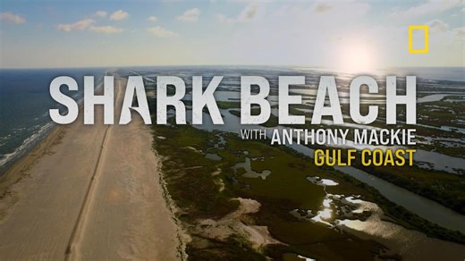 A sneak peek at 'Shark Beach with Anthony Mackie'