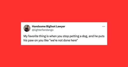 26 Of The Funniest Tweets About Cats And Dogs This Week