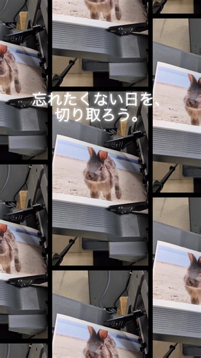 @nishioka_print ➤ 他の投稿はこちら📚 この時間を、紙に残す。 写真を少しずつ変えて印刷すると めくったときに動きが生まれます。 思い出を一冊の【写真集】にまとめませんか？🖼️ ▶︎ 写真集 1冊〜OK！／蛍光のような鮮やかな発色が魅力の【RGBビビッド印刷】もできます！ ご注文はこちらから👇🏻 https://www.nishioka.co.jp/ondemand/book/book_op01.html 西岡総合印刷は ************************************* 年賀状 挨拶状 名刺 ショップカード 表彰状 冊子印刷 同人誌 ポストカード 学会ポスター オリジナルノート ************************************* 等、さまざまな印刷商品に対応しています！ ︶︶︶︶︶︶︶︶︶︶︶︶︶︶︶︶︶︶︶︶︶︶ @nishioka_print をタグ付けして印刷した作品の投稿をしませんか？ こちらでご紹介させていただきます♪ 皆様の素敵な作品お待ちしております！ ———————————————————————