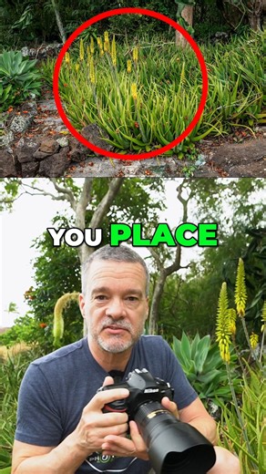 Tim Shields on Instagram: "How would you photograph this plant. Get your FREE camera settings cheat sheets. Visit timsphotos.com"