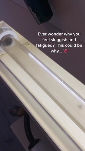 Improve Gut Health with Colon Hydrotherapy