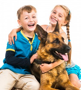 10 Dog Videos for Kids