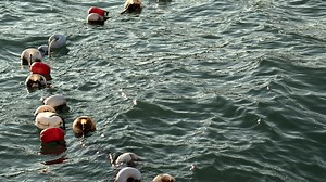 Download Fishing Nets in the Sea Water for free