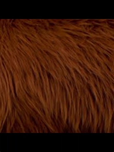 JOKES with ROWLF 😄 ROWLF the DOG PERFORMED by ME, INSPIRATION by JIM HENSON 🤎 #rowlf #rowlfthedog #jimhenson #muppets #puppets #puppetry #fypage #fypシ゚viral #jonathancaustrita 😃