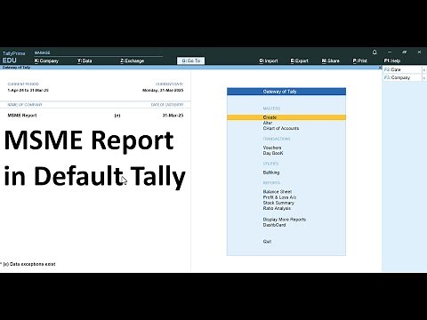MSME Report in Tally Prime | TallyPrime Guide