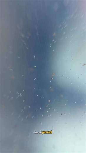 6.2K views · 76 reactions | I hatched 100,000 sea monkey eggs under the microscope and these are the results Part 10 | Jessie JJ | Facebook