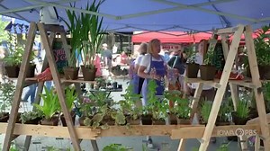 The Des Moines' Downtown Farmers' Market is just weeks away - is this one of your must-have summer activities? Learn more about it and check out more of what Iowa has to offer in our latest episode of Road Trip Iowa, on demand via the PBS App or YouTube. | Iowa PBS