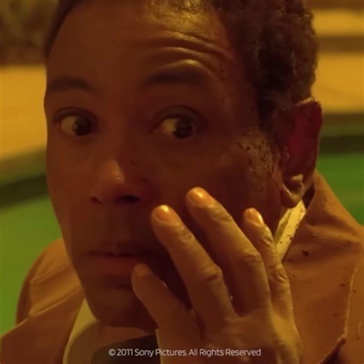 Comparing Hwang In-ho and Gustavo Fring