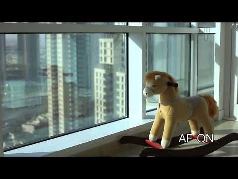 Switching Canon: Canon 5D Mark III Auto Focus while Video Recording