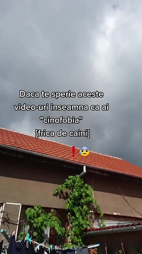 ❗😱 #foryou #viral #kyra #cinofobia #scarry TikTok