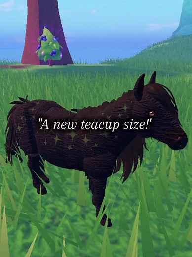 New Horse Sizes and Breeding System Guide on Horse Life Roblox