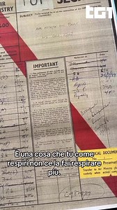 Bari, 2 dicembre 1943, il bombardamento del porto coglie gli Alleati di sorpresa. Ma il dramma è solo all’inizio. Per anni la verità viene sommersa, come i veleni che ancora oggi sono in fondo al mare. “Mostarda”, un podcast Tg1 su RaiPlay Sound, di Perla Dipoppa e Alessio Zucchini Ascolta qui: https://www.raiplaysound.it/programmi/mostardalapearlharboritaliana | Tg1