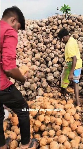 The Journey of a Coconut Shell: From Waste to Handcrafted Beauty ✨