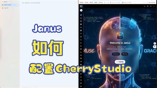 Janus | 如何配置Cherry Studio