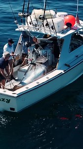 MONSTER BFT over the rails! A fish of a lifetime! 🎥: @landsharkoutdoors Charter 🛥: @bostonfishingfrenzy . . . . . . . #Satfish #Satfish_Offshore #ReadTheWater #FishingMaps #FishingCharts #OffshoreFishing #DeepSeaFishing #Fishing #Sportfishing #Fisherman #Angler #bluefintuna #fishing #tunafishing #okumafishing #mustadfishing | SatFish