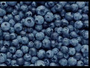 blueberry full body inflation subliminal