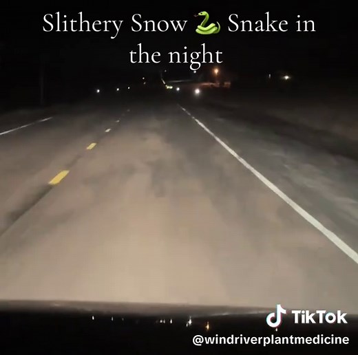 #snowsnakes #night #fyp