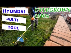 Cutting an Overgrown Lawn (UK) | Hyundai Multi Tool | Start to Finish (Gardening Business)
