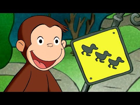 So Many Signs!! | Curious George | Adventure & Play