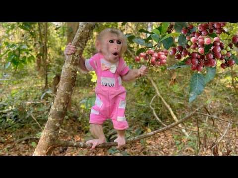 Lulu Discovers Delicious Wild Fruit for the First Time