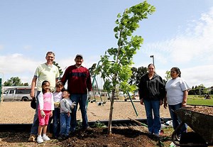 Help Lead Community Tree Plantings with Canopy!