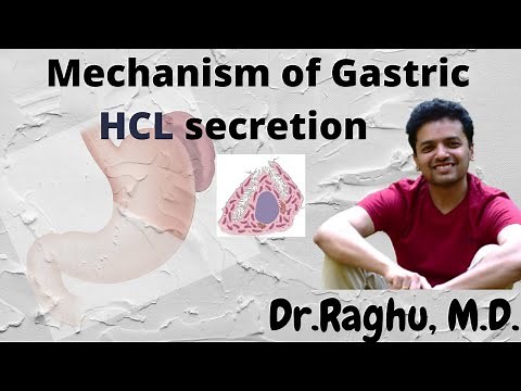 Mechanism of Gastric Acid (HCL) secretion | Post Prandial Alkaline tide.